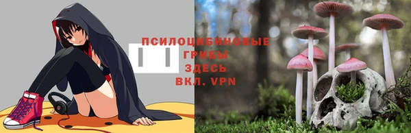 кокаин колумбия Алзамай