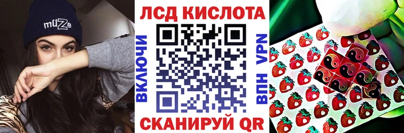 где можно купить   Калтан  нарко площадка как зайти  Марки N-bome 1,5мг  блэк спрут маркетплейс 