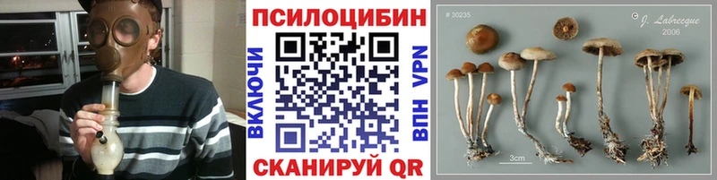 закладки  Калтан  Псилоцибиновые грибы ЛСД 